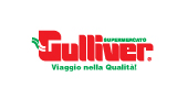 170x90_LOGO_gullliver