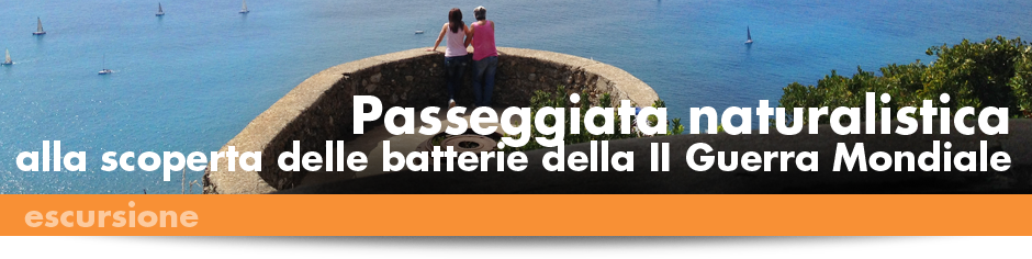 940x215_ESCURSIONI_Batterie