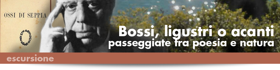 940x215_ESCURSIONI_Bossi